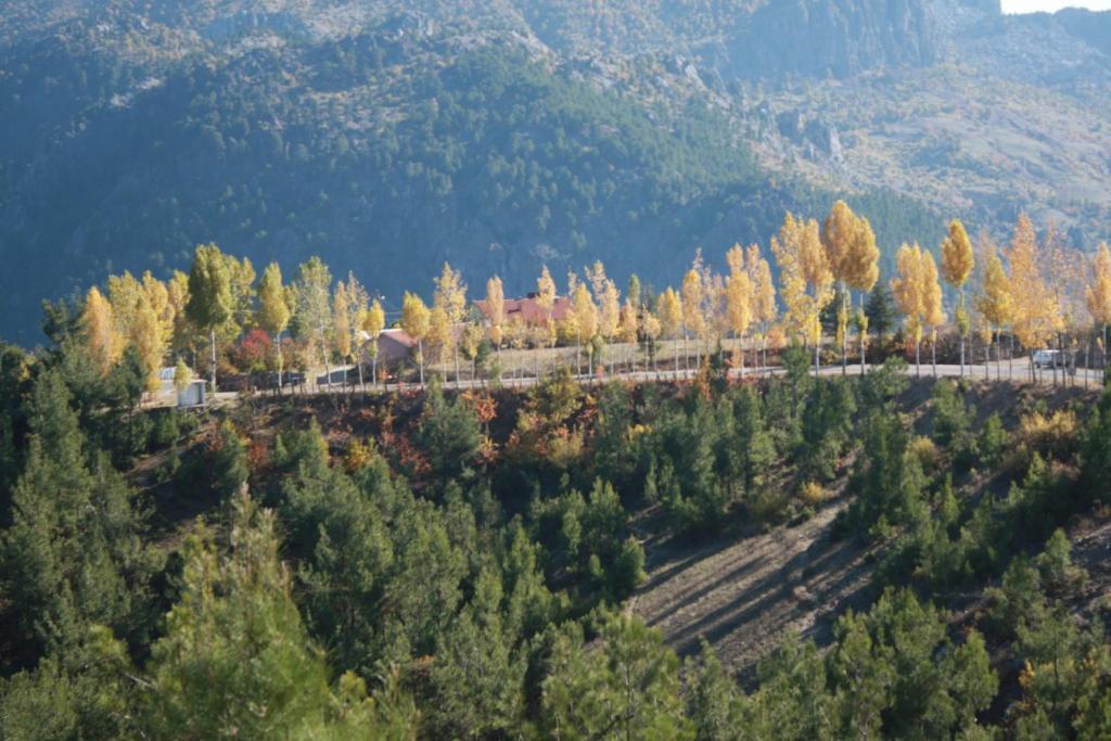 St.Paul Yol Pansiyon Kasımlar Eksteriør bilde