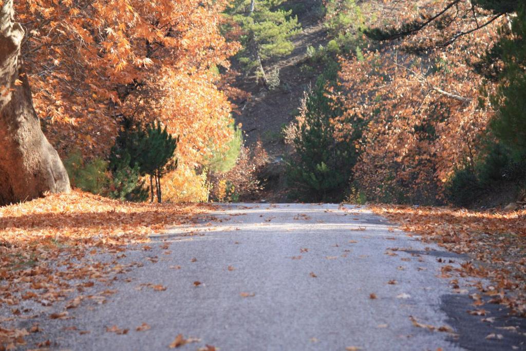 St.Paul Yol Pansiyon Kasımlar Eksteriør bilde